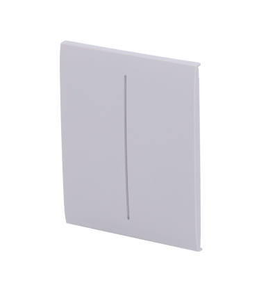 Touch panel for double light switch fog color