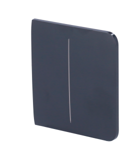 Touch panel for a double light switch Graphite colour