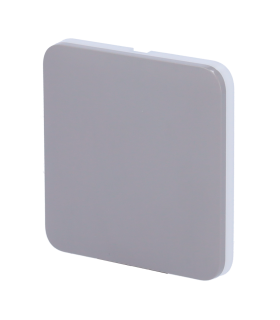 Panneau tactile pour interrupteur d'éclairage Couleur grise