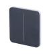 Panneau tactile pour double interrupteur d'éclairage Couleur graphite