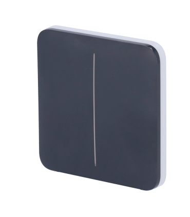 Touch panel for double light switch Graphite colour