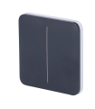 Panneau tactile pour double interrupteur d'éclairage Couleur graphite
