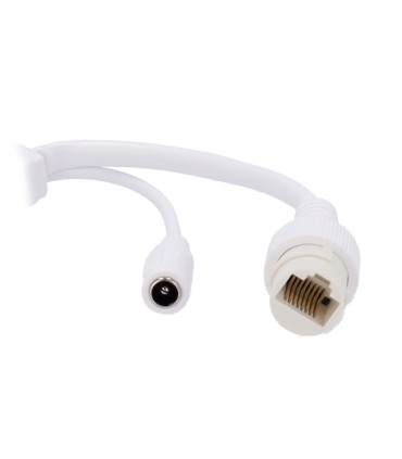 IPC-B124-APF28K - Cámara IP 4 Megapixel